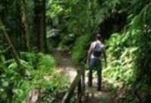 El Yunque National Rainforest Hiking Tour